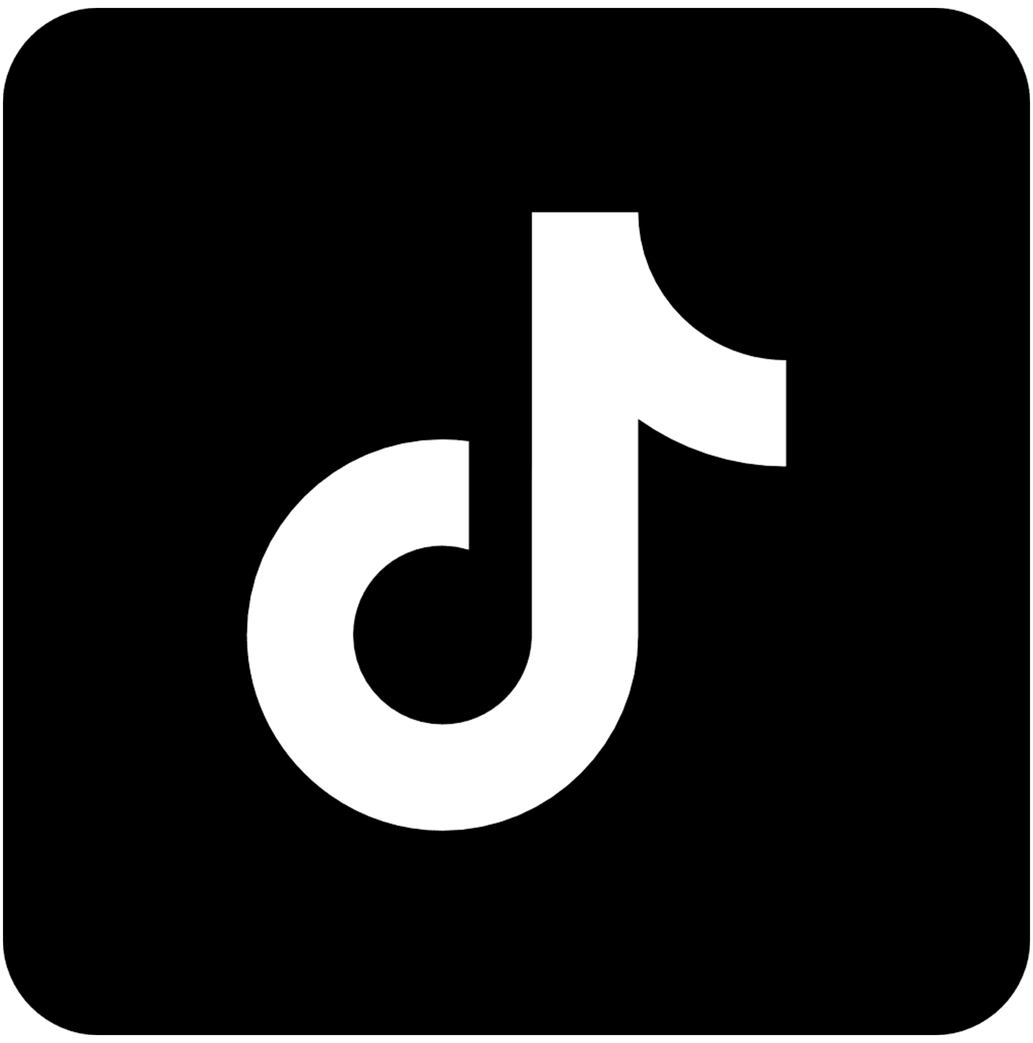 TikTok Icon